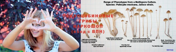 меф Армянск