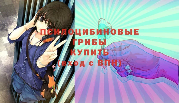 крисы Арсеньев